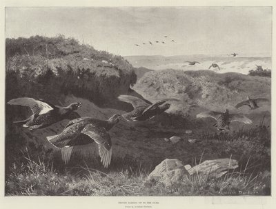 ライチョウがガンまで滑空 作： Archibald Thorburn